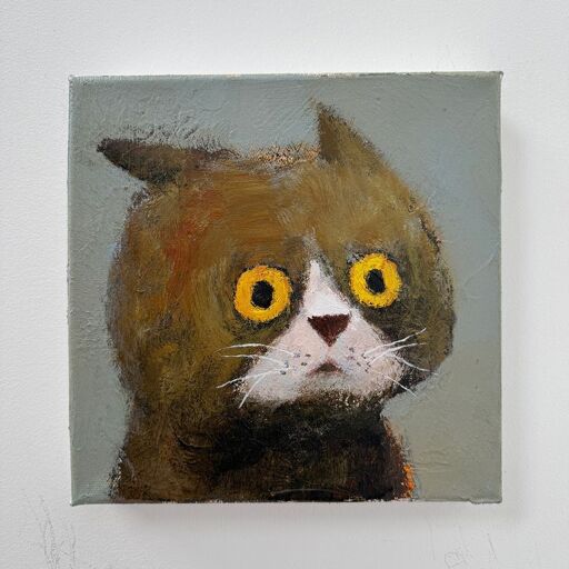 Dessin d'un chat ayant l'air choqué