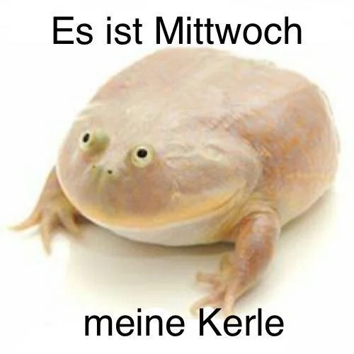 Es ist Mittwoch meine Kerle