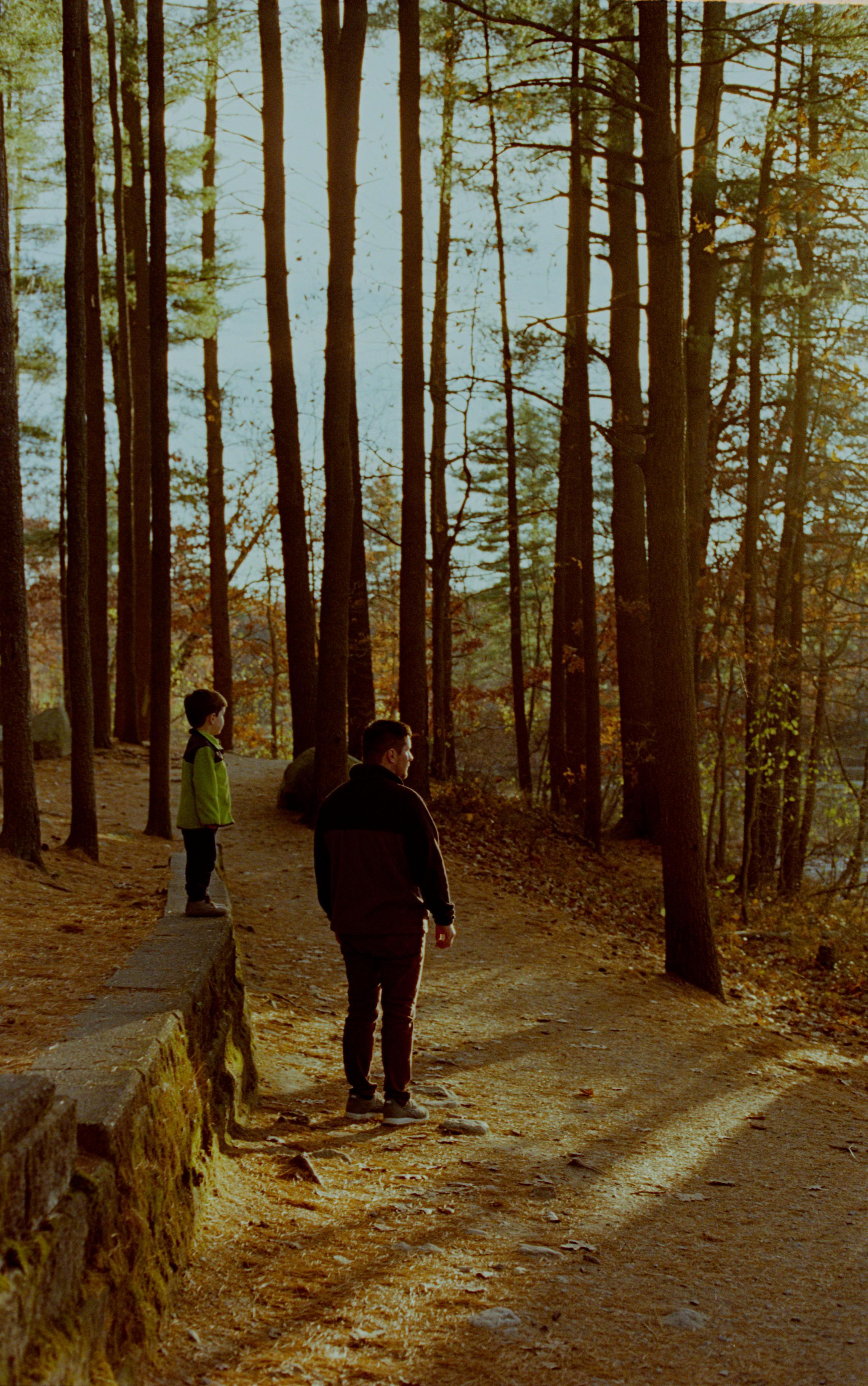 A photo of a man and his child looking dreamily through the trees at a public park. 