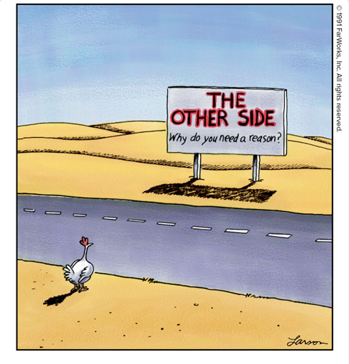 THE OTHER SIDE / Why do you need a reason?